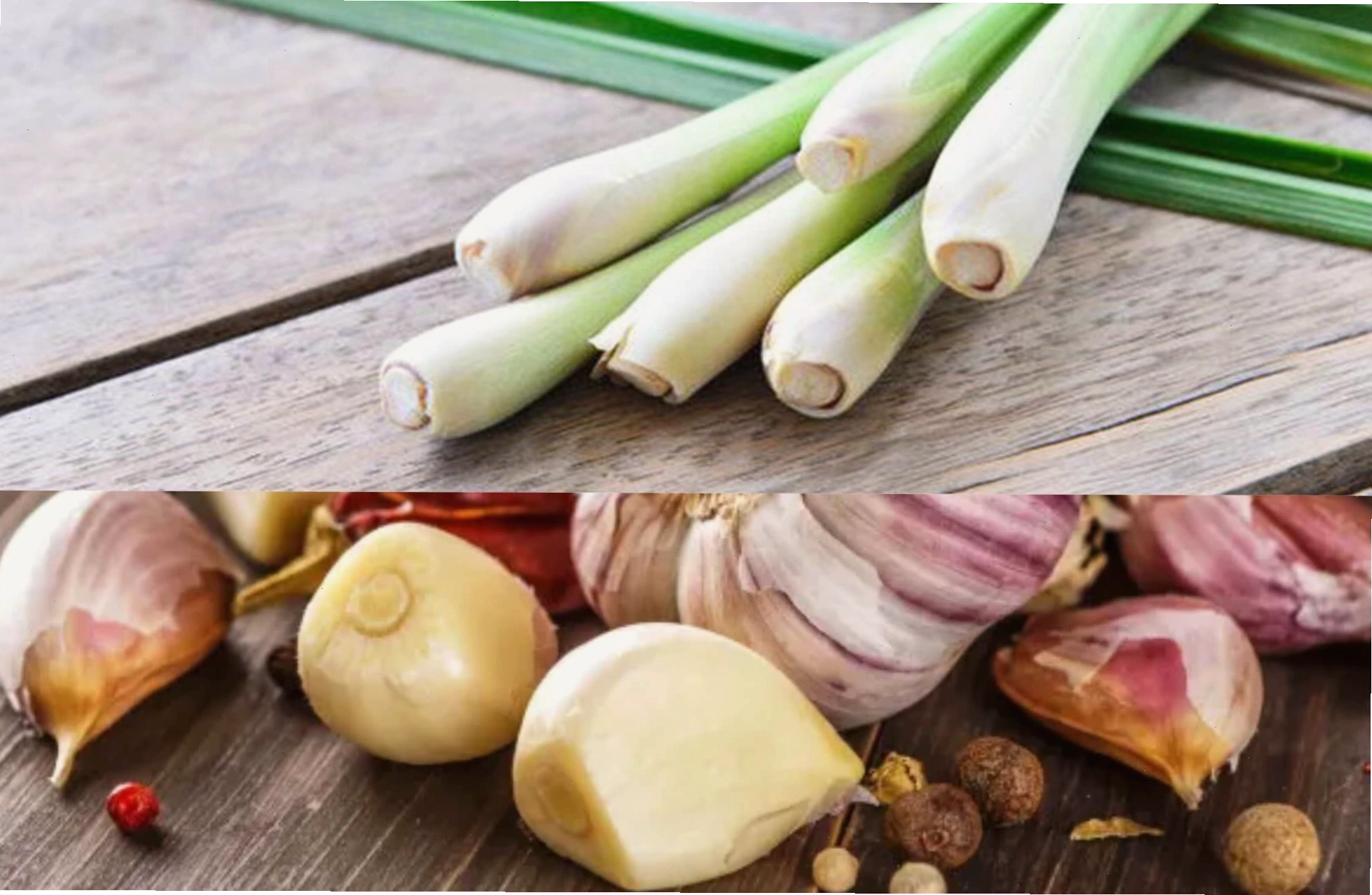 Cách xử lý khi ong bay vào nhà an toàn