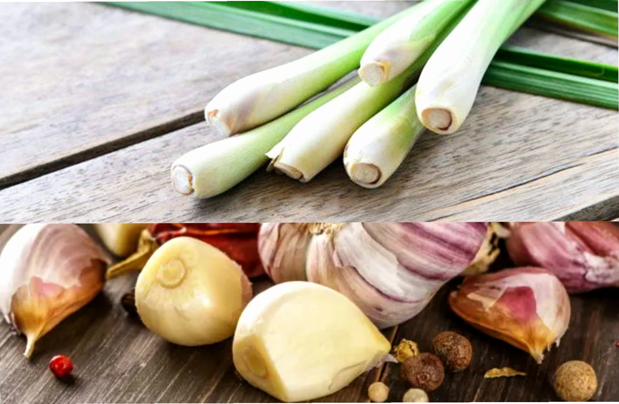 Cách xua đuổi ong bay vào nhà một cách an toàn