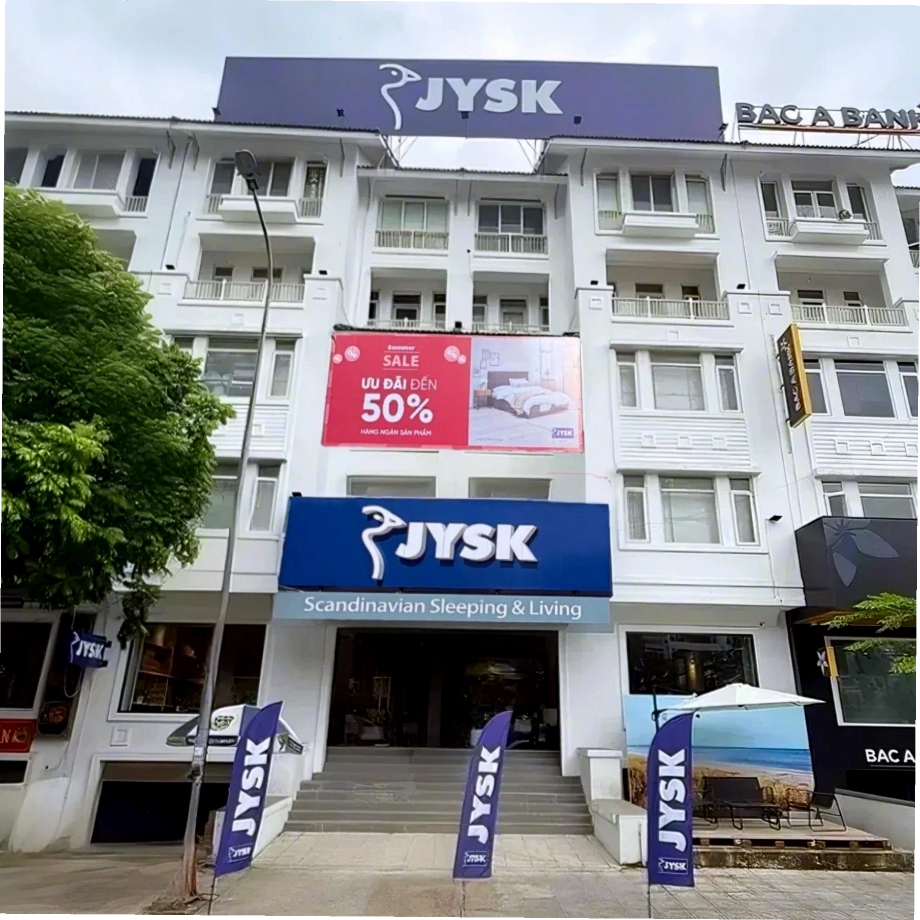 Cây Phát Tài đặt ở góc phòng, tạo điểm nhấn xanh