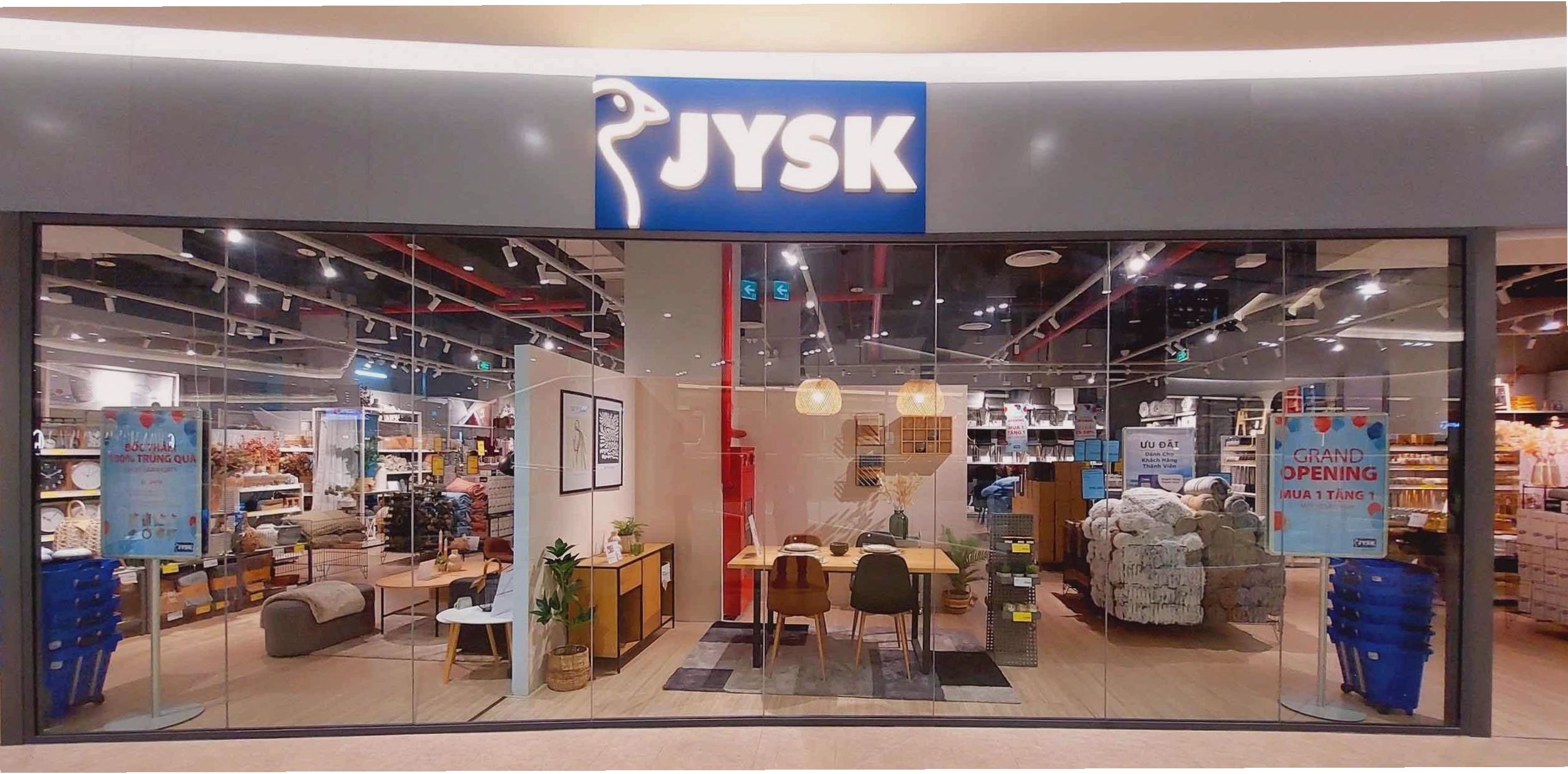 Cây Phú Quý với lá đỏ hồng rực rỡ