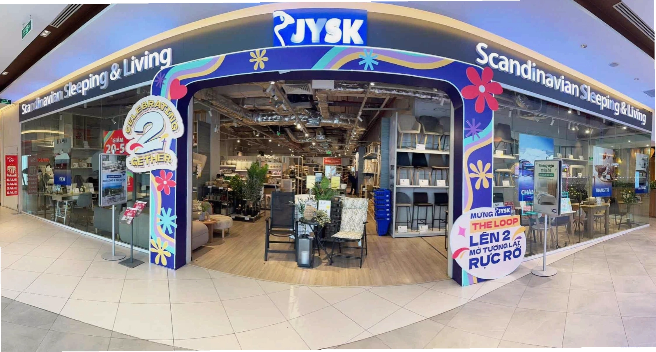 Cây Vạn Niên Thanh với lá xanh mướt