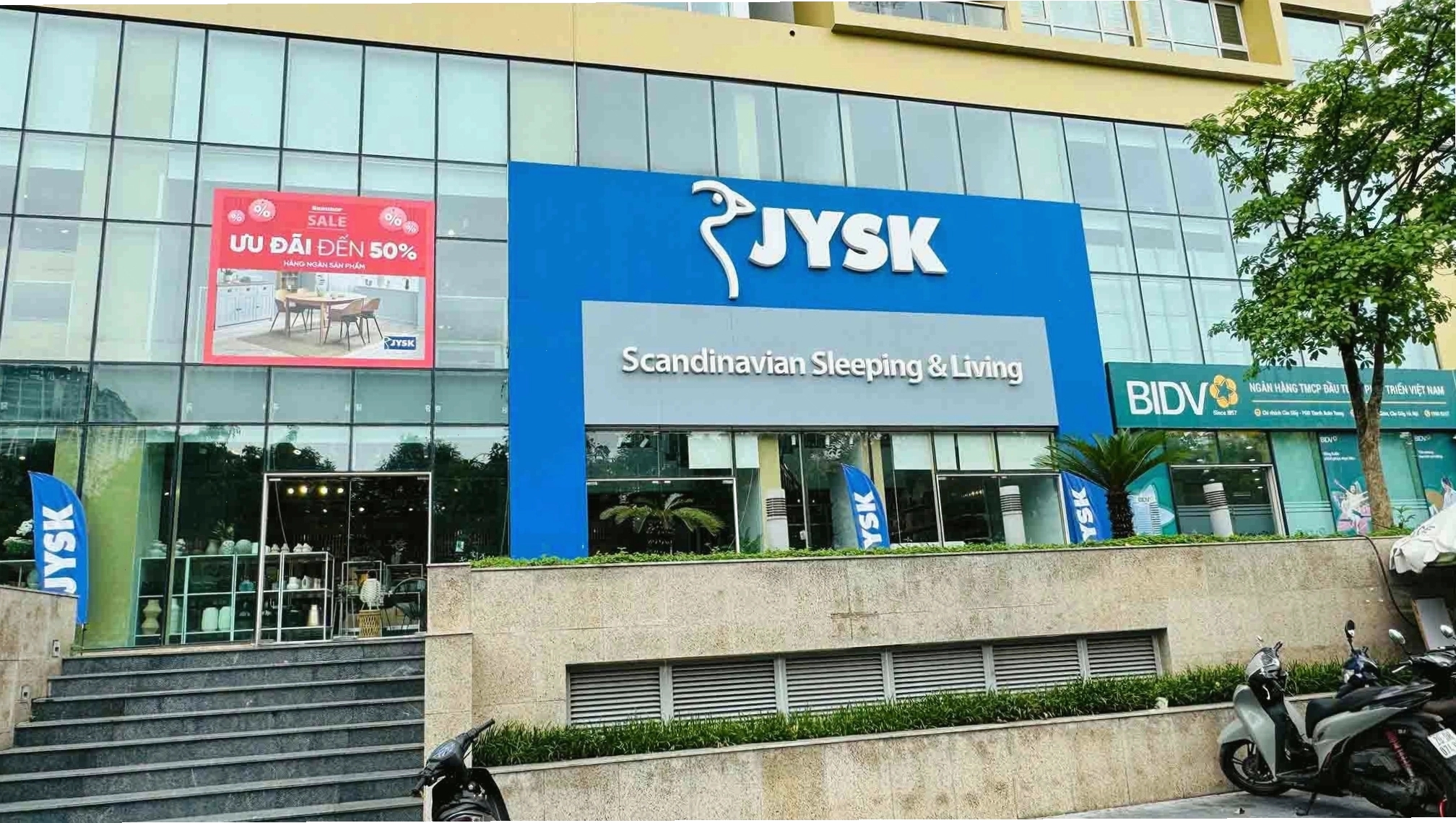 Chậu cây Kim Tiền xanh tốt đặt trong không gian nội thất