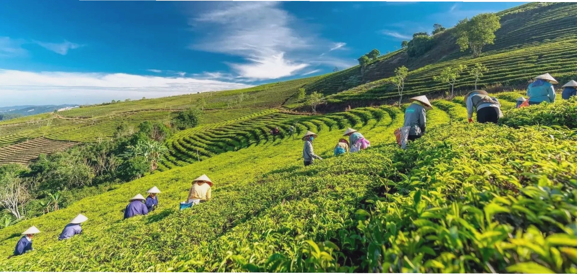 Chi tiết các tượng Phật nhỏ trong khuôn viên chùa