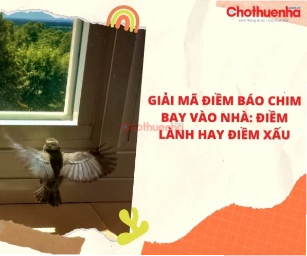 Chim sẻ bay vào nhà rồi bay ra có phải điềm xấu?