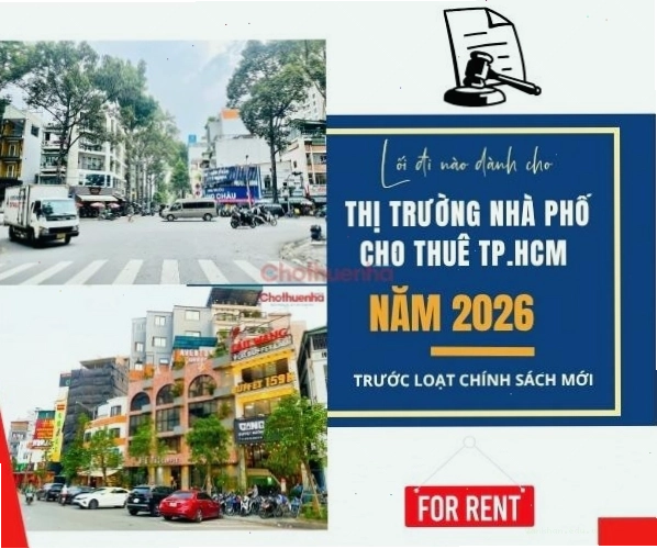 Chuột phá hoại đồ đạc trong nhà