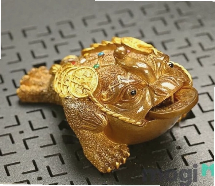 Cóc đen vào nhà thường mang ý nghĩa tích cực về phong thủy