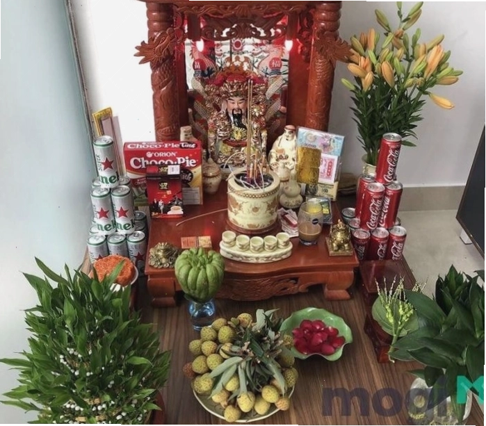 Cóc vào nhà có thể là điềm báo gì, cần tìm hiểu rõ ý nghĩa