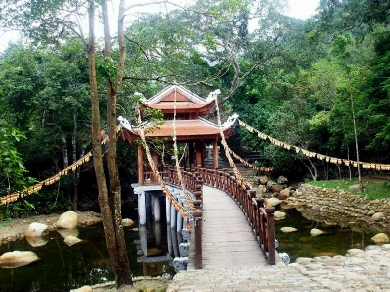 Con đường tùng cổ kính dẫn lên các ngôi chùa ở Yên Tử