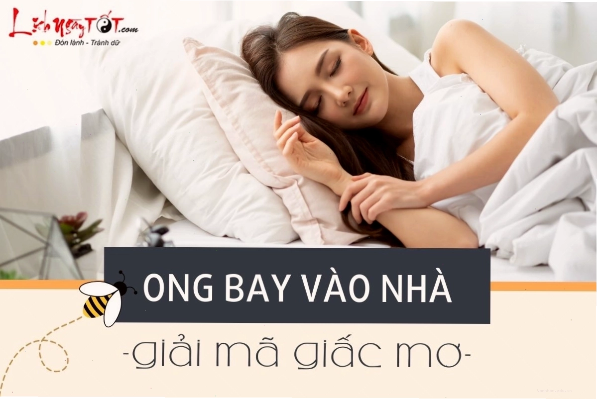 Giải mã giấc mơ thấy ong