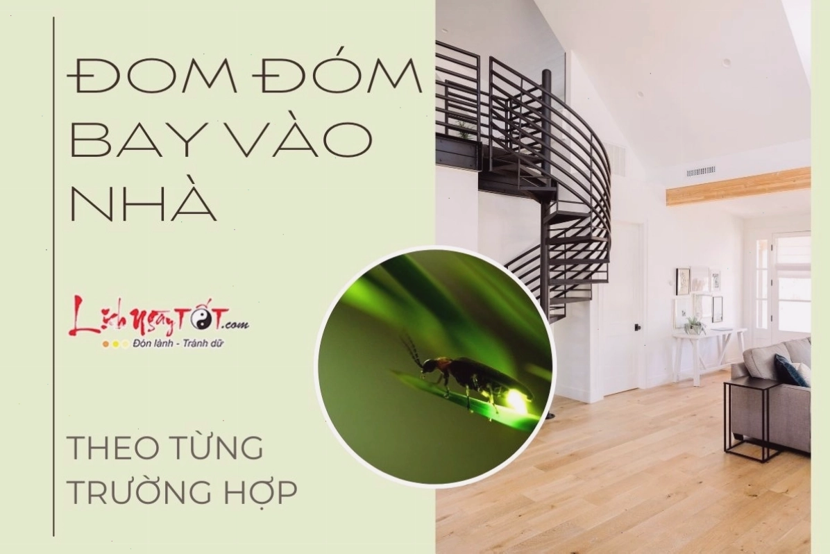 Giải mã ý nghĩa đom đóm xanh bay vào nhà