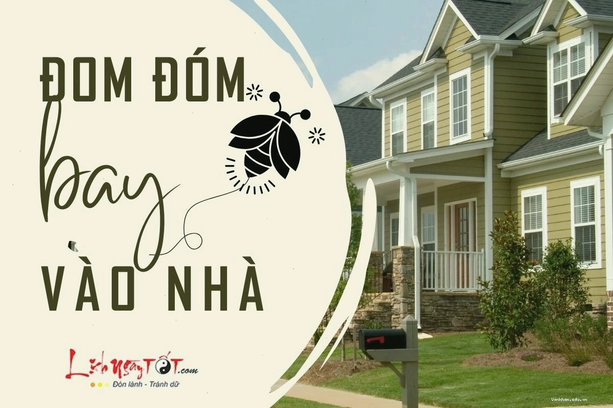 Hình ảnh đom đóm bay vào nhà mang ý nghĩa may mắn và tài lộc