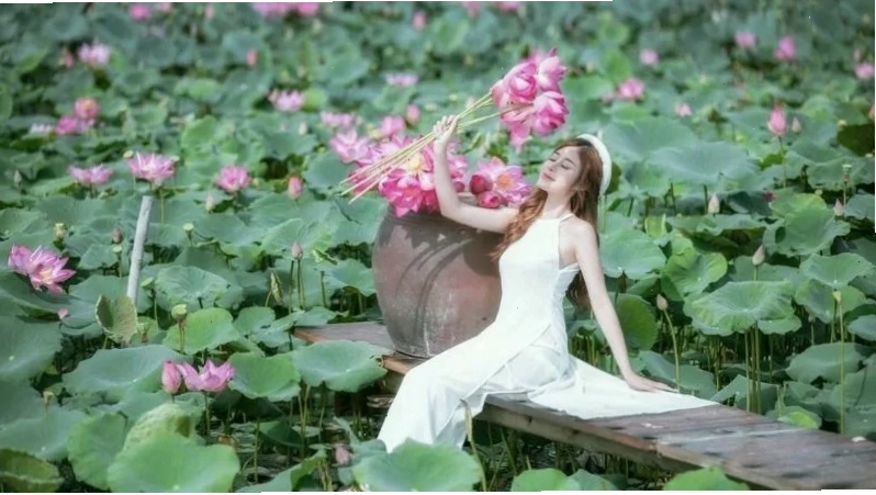 Hình ảnh hoa sen trong nghệ thuật và văn hóa Việt Nam