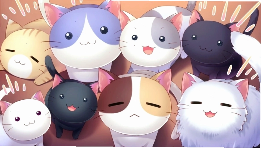 Hình nền máy tính anime nhân vật phiêu lưu