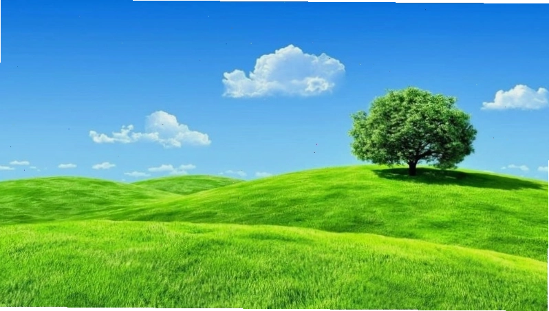 Hình nền xanh lá cây với hiệu ứng đổ bóng nhẹ nhàng