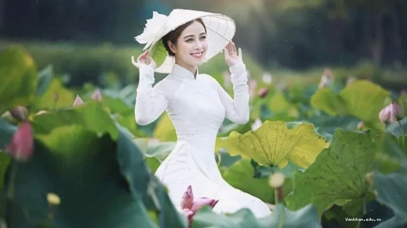 Hoa sen trắng tinh khôi, biểu tượng cho sự thuần khiết của người phụ nữ Việt Nam