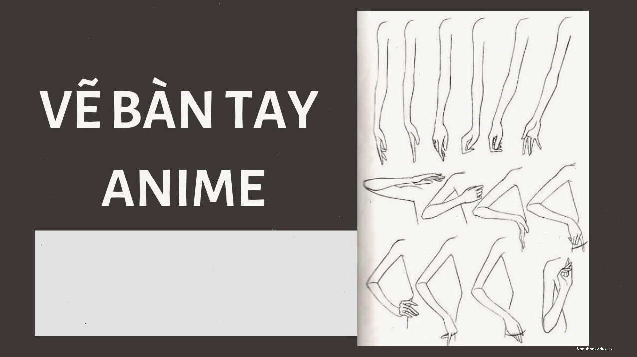 Hướng dẫn vẽ bàn tay anime