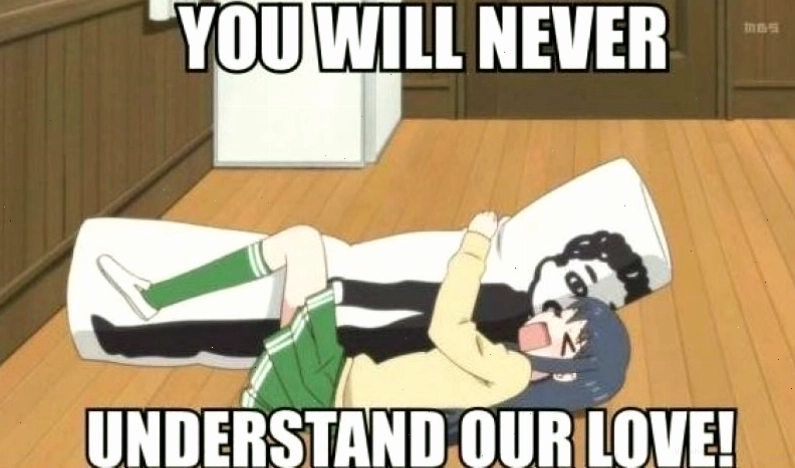 Husbando và Waifu trong văn hóa Otaku