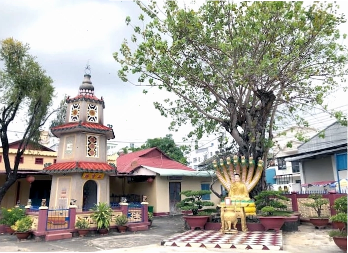 Không gian thanh tịnh tại Chùa Sắc Tứ Tam Bảo