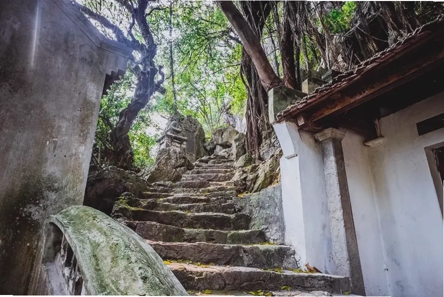 Khung cảnh thiên nhiên xung quanh chùa Vô Vi