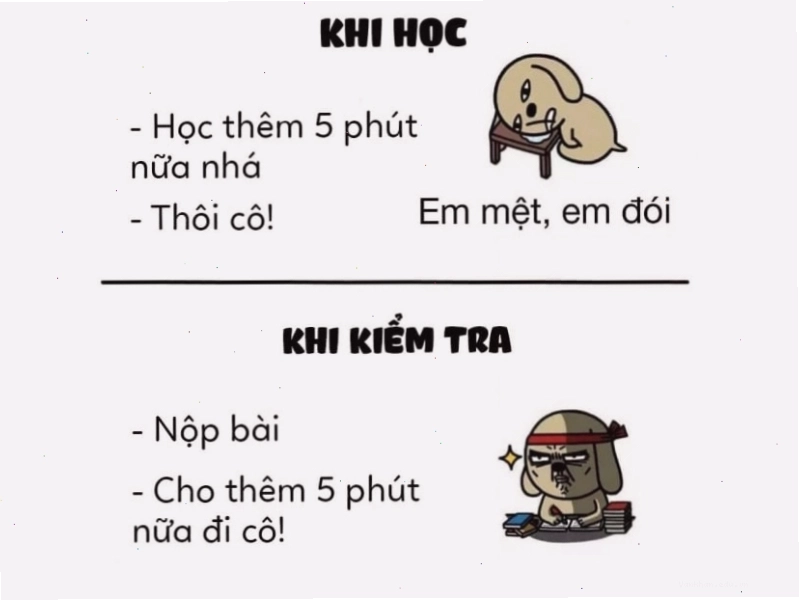 Meme "5 phút khi học và khi kiểm tra"