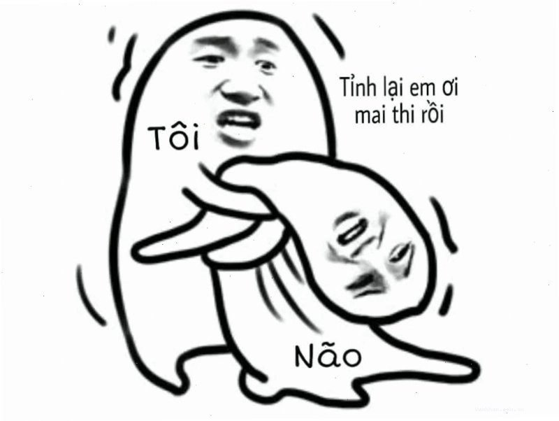 Meme "não tôi khi mai thi"