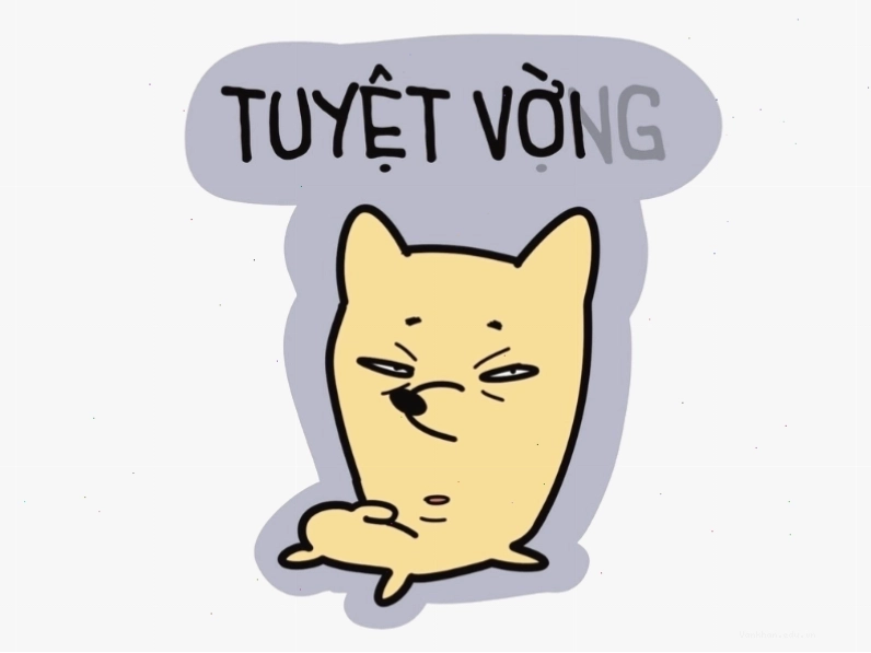 Meme "tuyệt vời và tuyệt vọng"