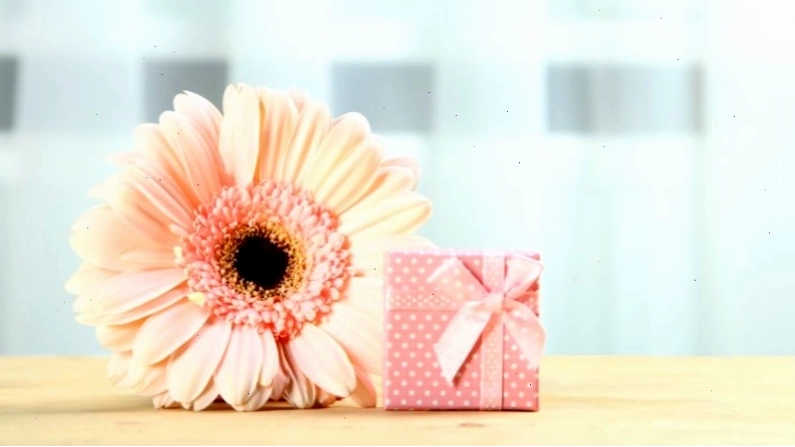 Nhiều ngày lễ kỷ niệm phụ nữ khác trên thế giới