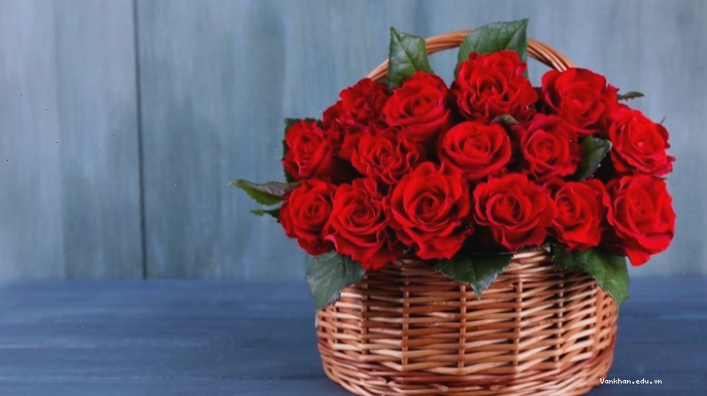 Nước hoa - Món quà lãng mạn cho Valentine