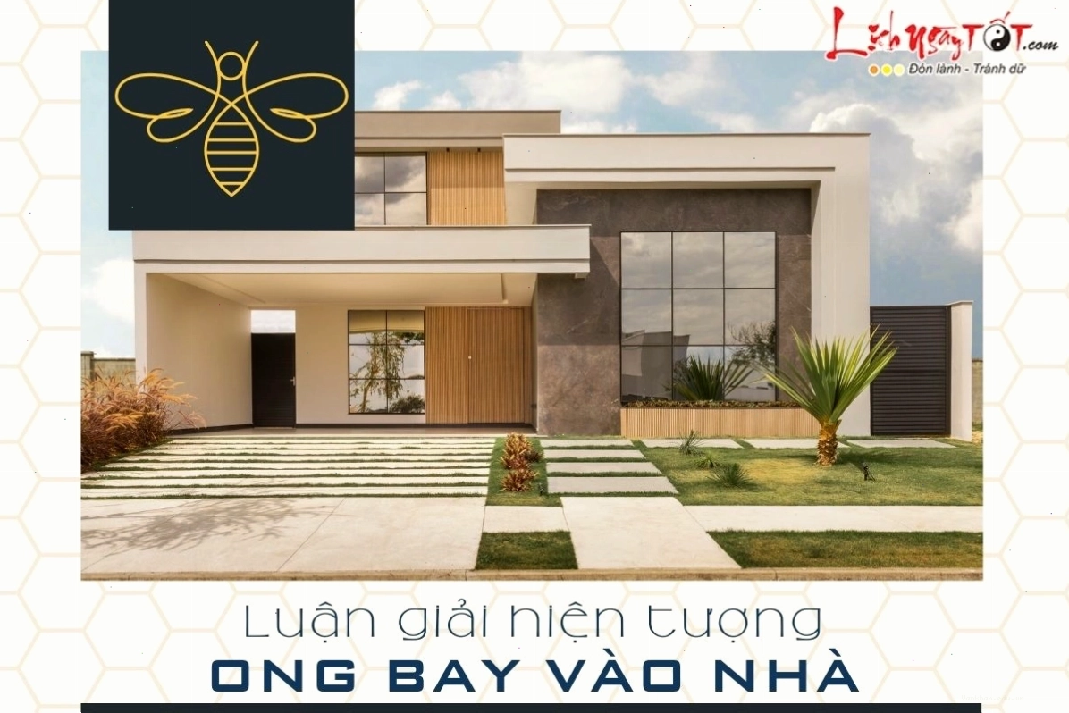 Phân tích hiện tượng ong bay vào nhà theo phong thủy và tâm linh