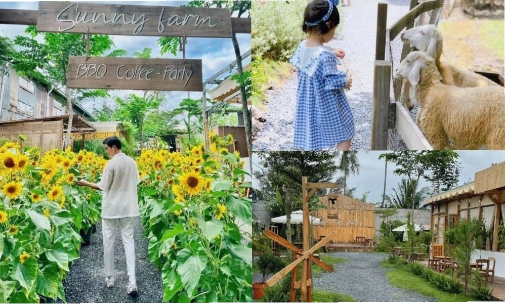 Sunny Farm là địa điểm vui chơi, giải trí lý tưởng dành cho gia đình