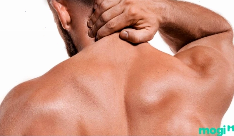 Thịt giật ở lưng báo hiệu về sự hội ngộ với bạn bè cũ