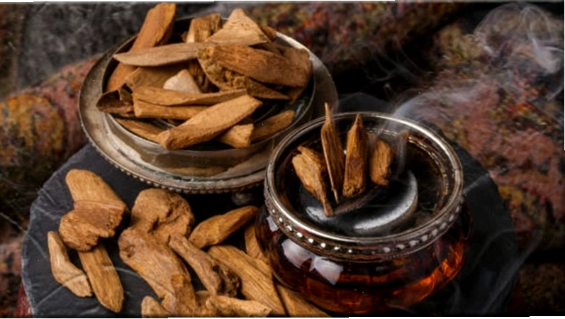 Trầm hương là loại gỗ có linh tính