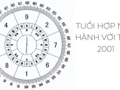 Chọn tuổi hợp làm ăn với 2001 để làm ăn phát đạt tài lộc
