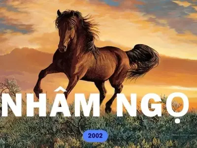 Vận mệnh của người sinh năm 2002 - Bí quyết thu hút tài lộc
