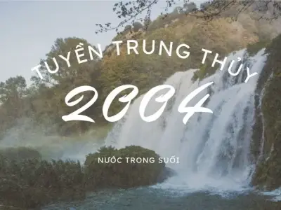 Giải mã vận mệnh 2004 chi tiết, chuẩn xác nhất cho bạn