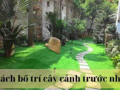Bí quyết bố trí cây cảnh trước nhà đẹp, hợp phong thủy nhất