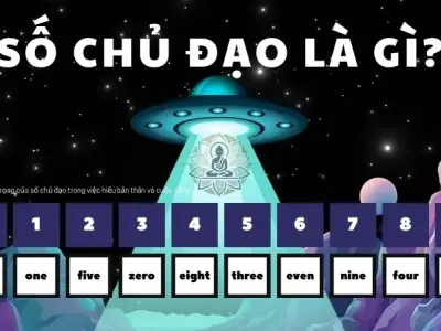 Số chủ đạo của bạn là gì? Cách tính số chủ đạo chi tiết nhất