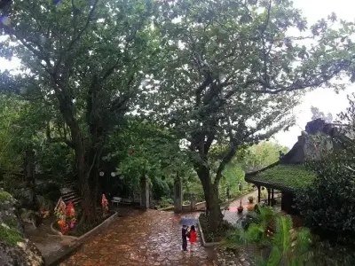 Chùa Tam Thai - Điểm đến tâm linh hấp dẫn du khách thăm quan