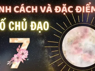 Khám phá bí ẩn số chủ đạo 7: Nhà thông thái bẩm sinh