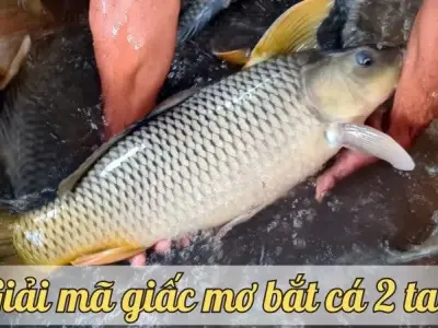 Nằm mơ thấy bắt cá 2 tay có phải bạn là người lăng nhăng
