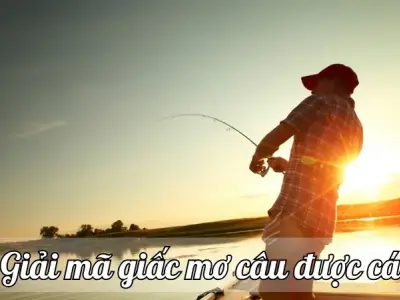 Giải mã giấc mơ câu được cá - Ý nghĩa và điềm báo ẩn chứa