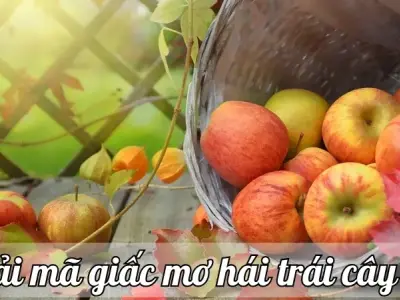 Nằm mơ hái trái cây ăn là tốt hay xấu và con số may mắn