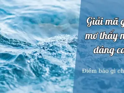 Giải mã giấc mơ thấy nước dâng cao và điềm báo tương lai