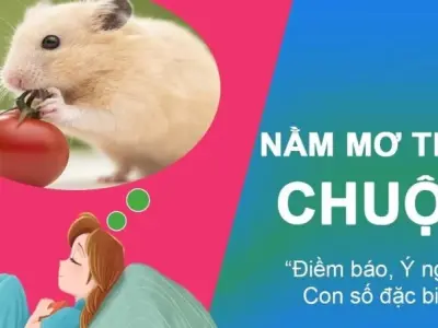 Giả mã giấc mơ thấy chuột - Điềm báo và ý nghĩa cụ thể