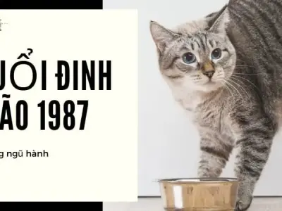 Lựa chọn hướng nhà hợp tuổi 1987 - Bí quyết thu hút tài lộc