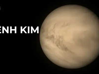 Mệnh Kim hợp mệnh gì? Con đường phát triển phù hợp