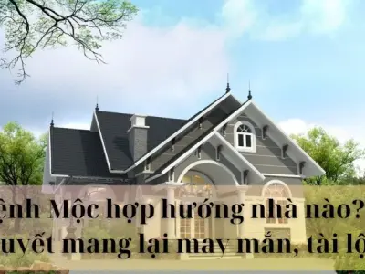 Mệnh Mộc hợp hướng nhà nào? Bí quyết mang lại may mắn