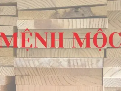 Màu sắc hợp mệnh Mộc giúp gia chủ gặt hái thành công