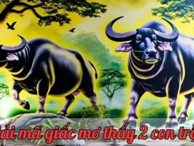 Giấc mơ thấy 2 con trâu là điềm báo gì cho bạn? Tốt hay xấu?