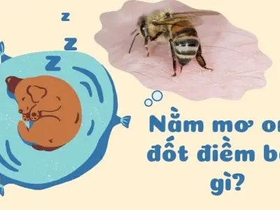 Nằm mơ ong đốt điềm báo gì? Lời giải đáp từ chuyên gia